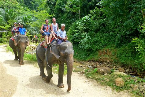 krabi elephant sanctuary|elephant trekking krabi.